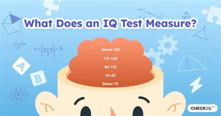 Can you cheat on IQ test?