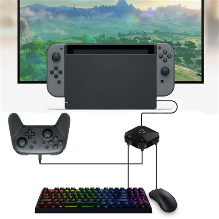 Can you connect a keyboard to a Nintendo switch?