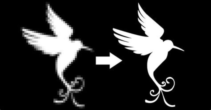 Can you convert a raster image to vector?