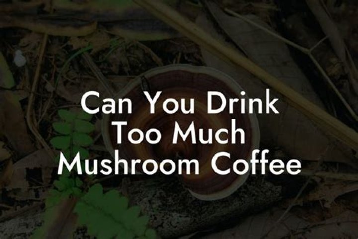 Can you drink too much chicory?