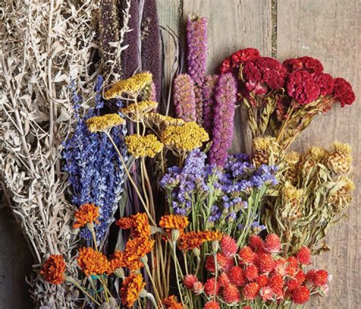 Can you dry chive flowers?