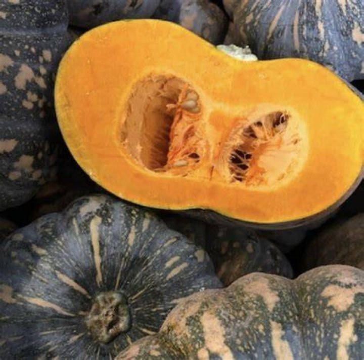 Can you eat Kent pumpkin skin?