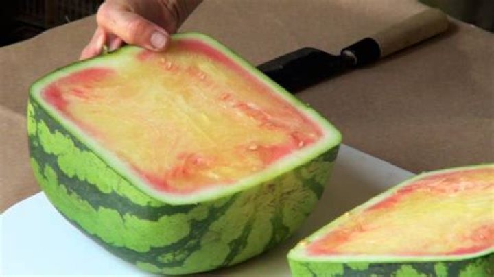 Can you eat square watermelon?