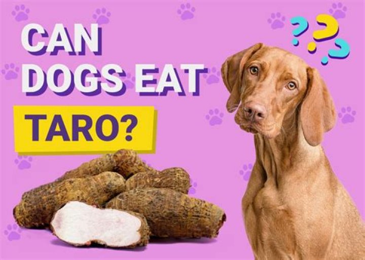 Can you eat taro leaf?