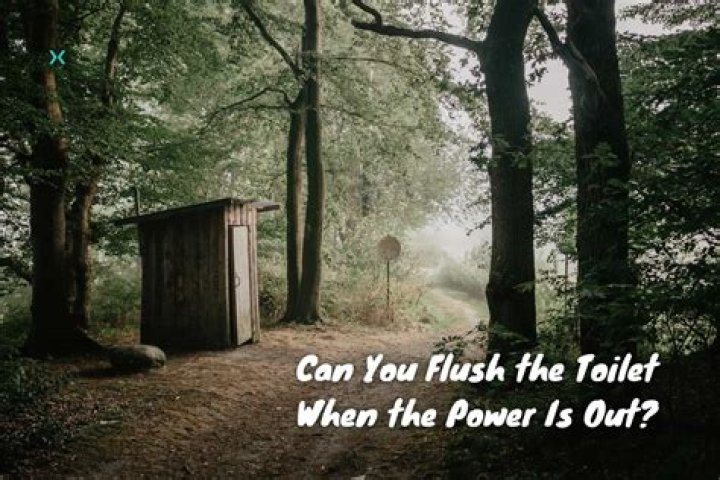 Can you flush a toilet when the water is turned off?