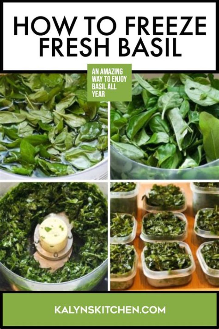 Can you freeze fresh oregano?