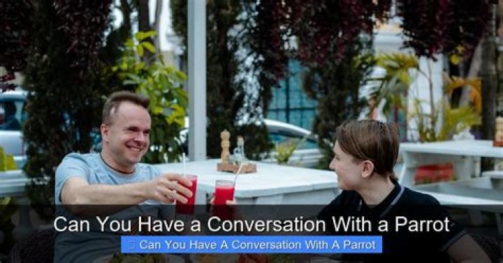 Can you have a conversation with a parrot?
