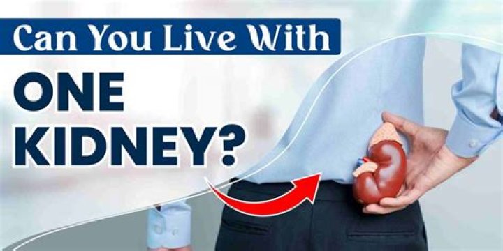 Can you live with one kidney?