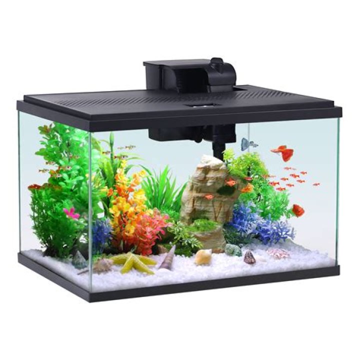 Can you move a fish tank with fish in it?