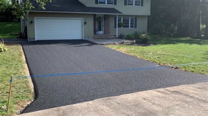Can you pave over tree roots?