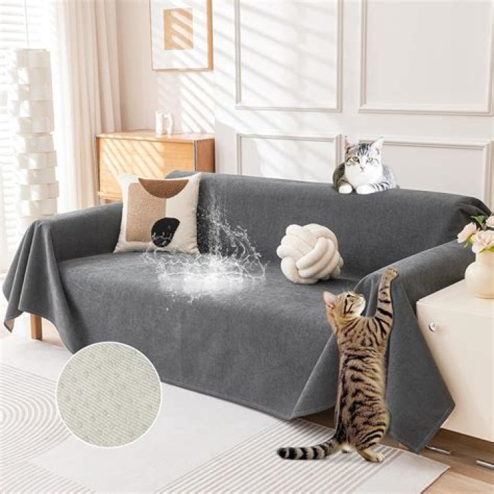 Can you put couch covers on leather couches?