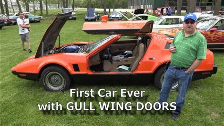 Can you put gullwing doors on any car?