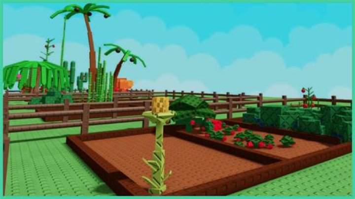 Can you refund on Roblox?