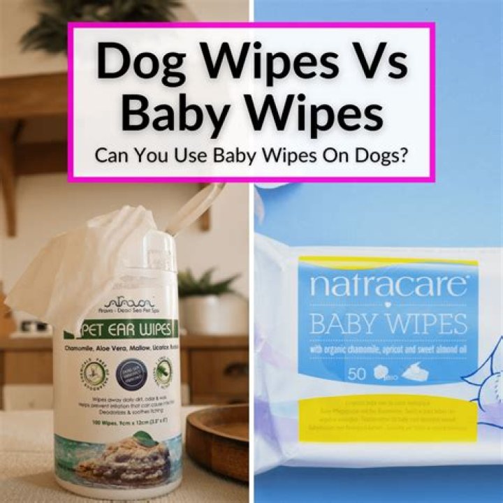 Can you use baby wipes on a dog?