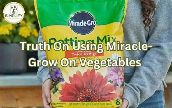 Can you use Miracle Grow on tulips?