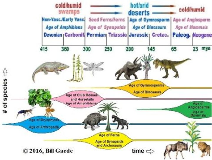 Do 200 species go extinct every day?