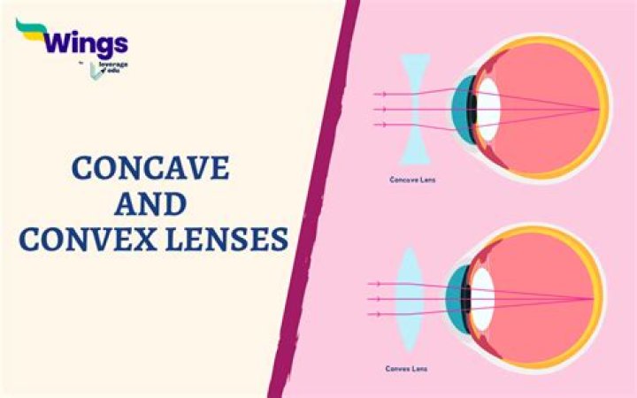 Do cameras use convex or concave lenses?