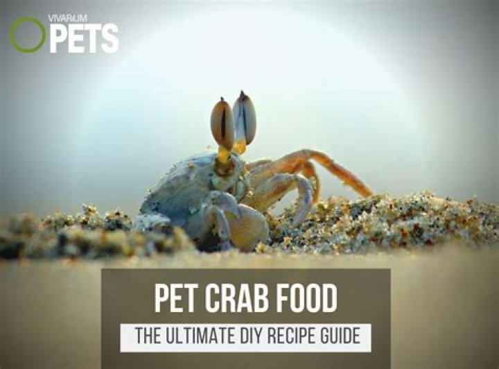 Do crabs eat shrimp? | ContextResponse.com