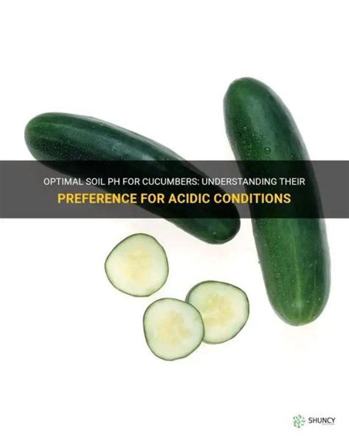 Do cucumbers like acid soil?
