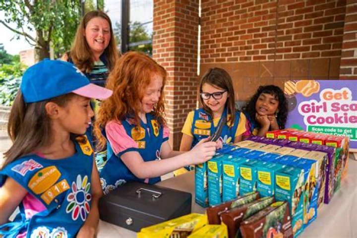 Do Daisy Girl Scouts sell cookies?