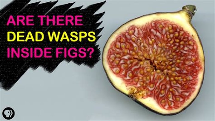 Do dates have wasps in them?