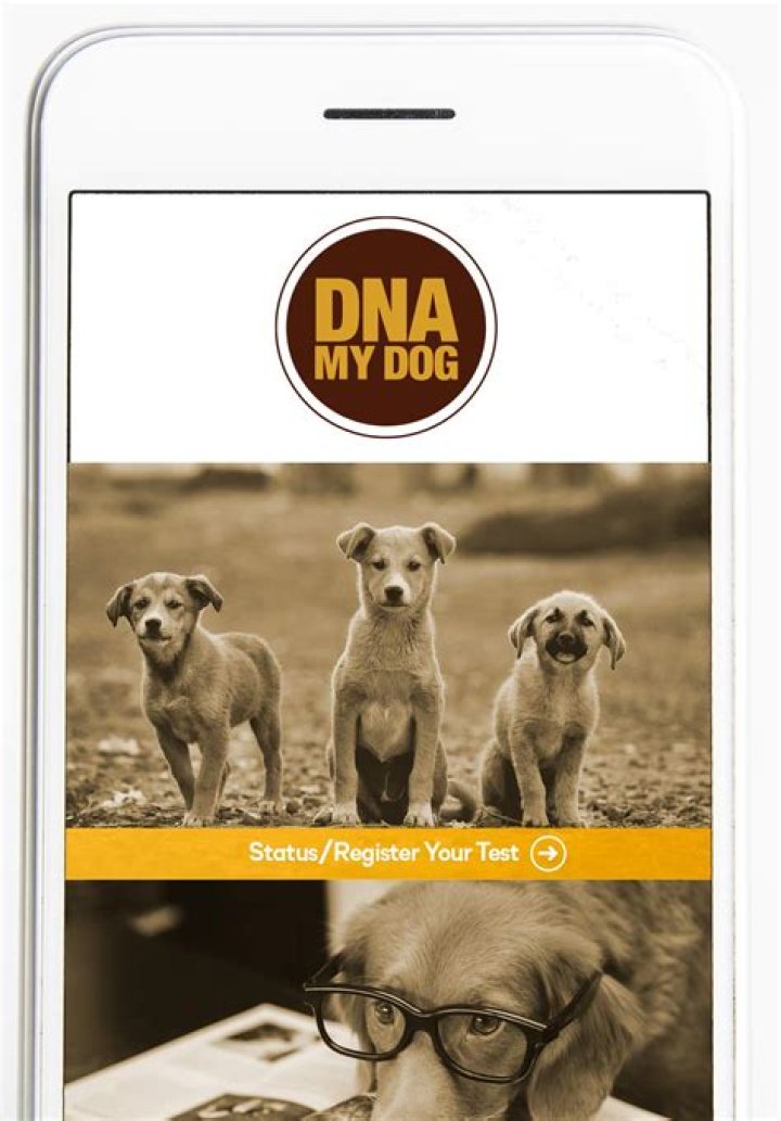 Do dog DNA tests test for Wolves?