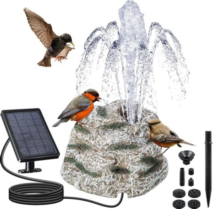 Do I need a bubbler in my fish tank?