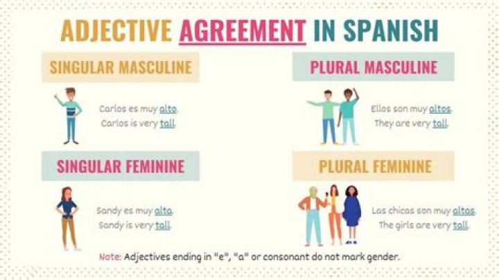 Do Spanish adjectives have gender?