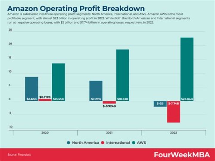 Does Amazon turn a profit?