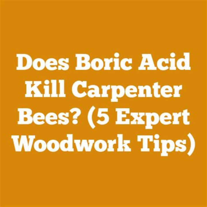 Does boric acid kill carpenter bees?