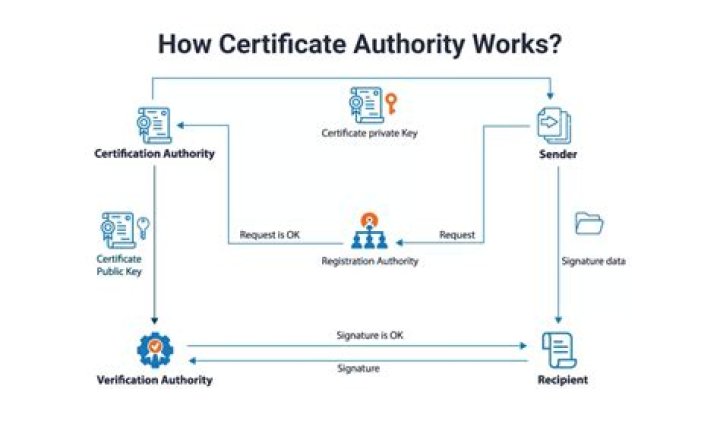Does citing adds authority and context to writing?