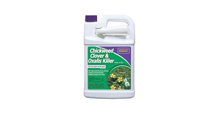 Does curtail M kill clover?