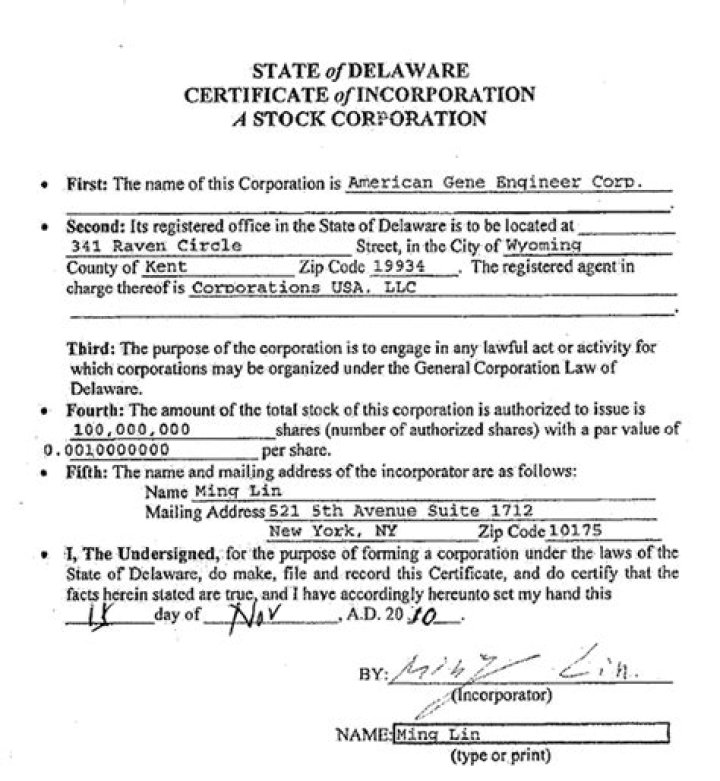 Does Delaware require articles of incorporation?