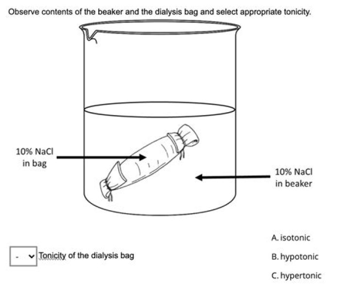Does glucose go through dialysis tubing?