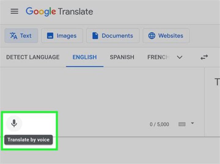 Does Google Translate have Elvish?