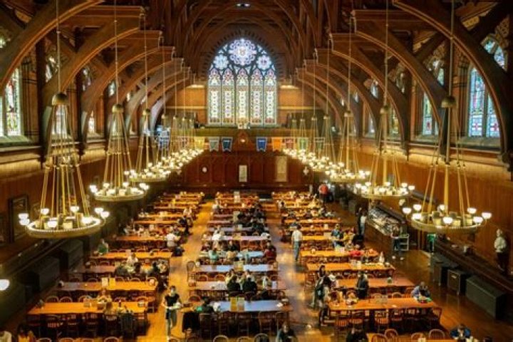 Does Harvard only teach law?