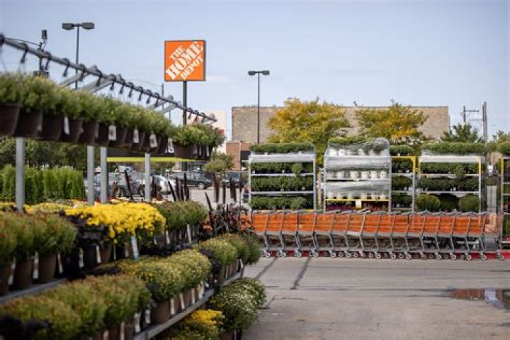Does Home Depot have hanging plants?