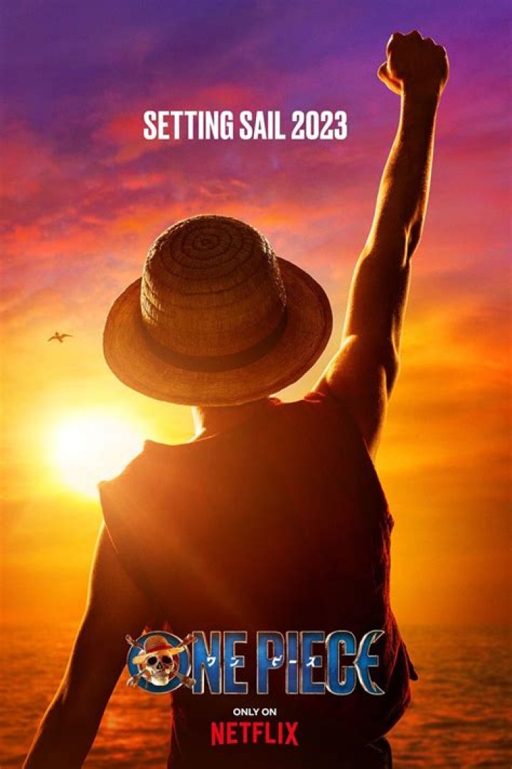 Does one piece have seasons?