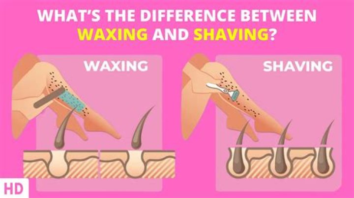 Does plucking remove hair from the root?