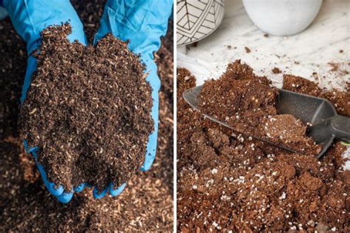 Does potting soil need to be mixed with dirt?