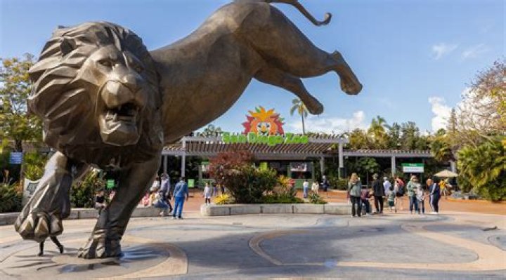 Does the San Diego Zoo have butterflies?