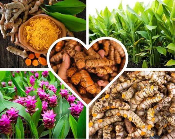 Does turmeric make skin yellow?