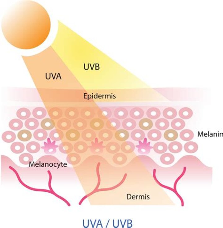 Does uv400 block UVA and UVB?