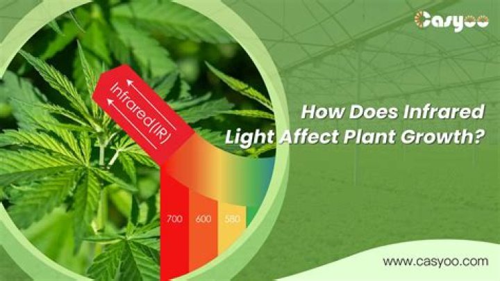 Does vibration affect plant growth?