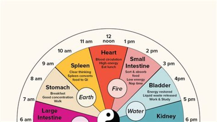 Does your body have a clock?