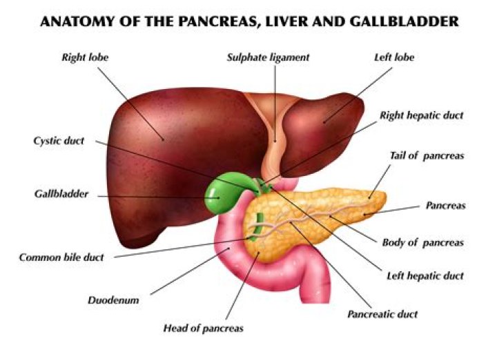 Has the gall meaning? | ContextResponse.com