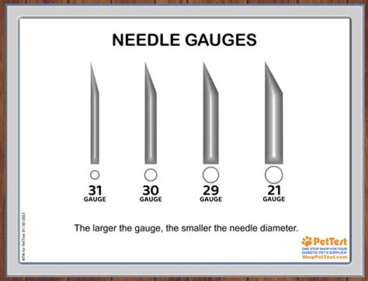 How big is a 29 gauge needle?
