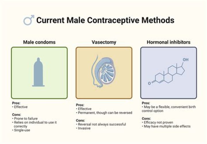 How can a male contraceptive pill prevent pregnancy?