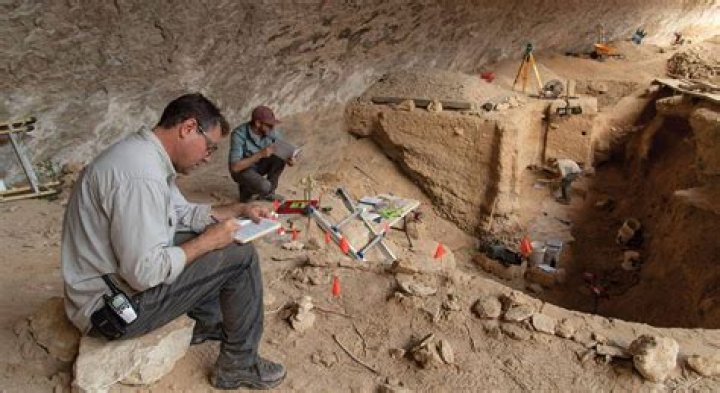 How can I become an archaeologist in India?
