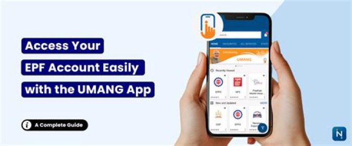 How can I check my PF in Umang app?